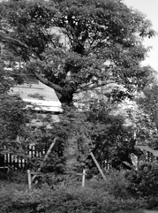 桓台注册公司